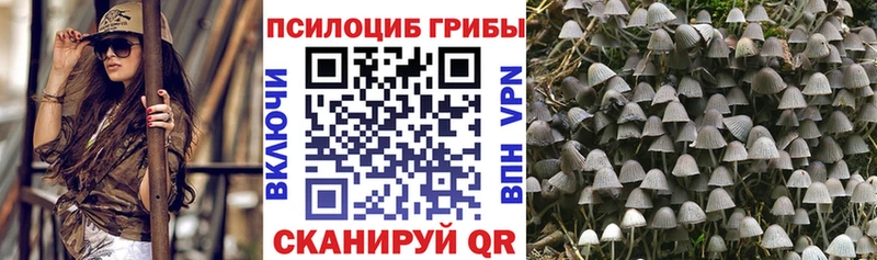 Галлюциногенные грибы мухоморы  Купить где  Волжск 